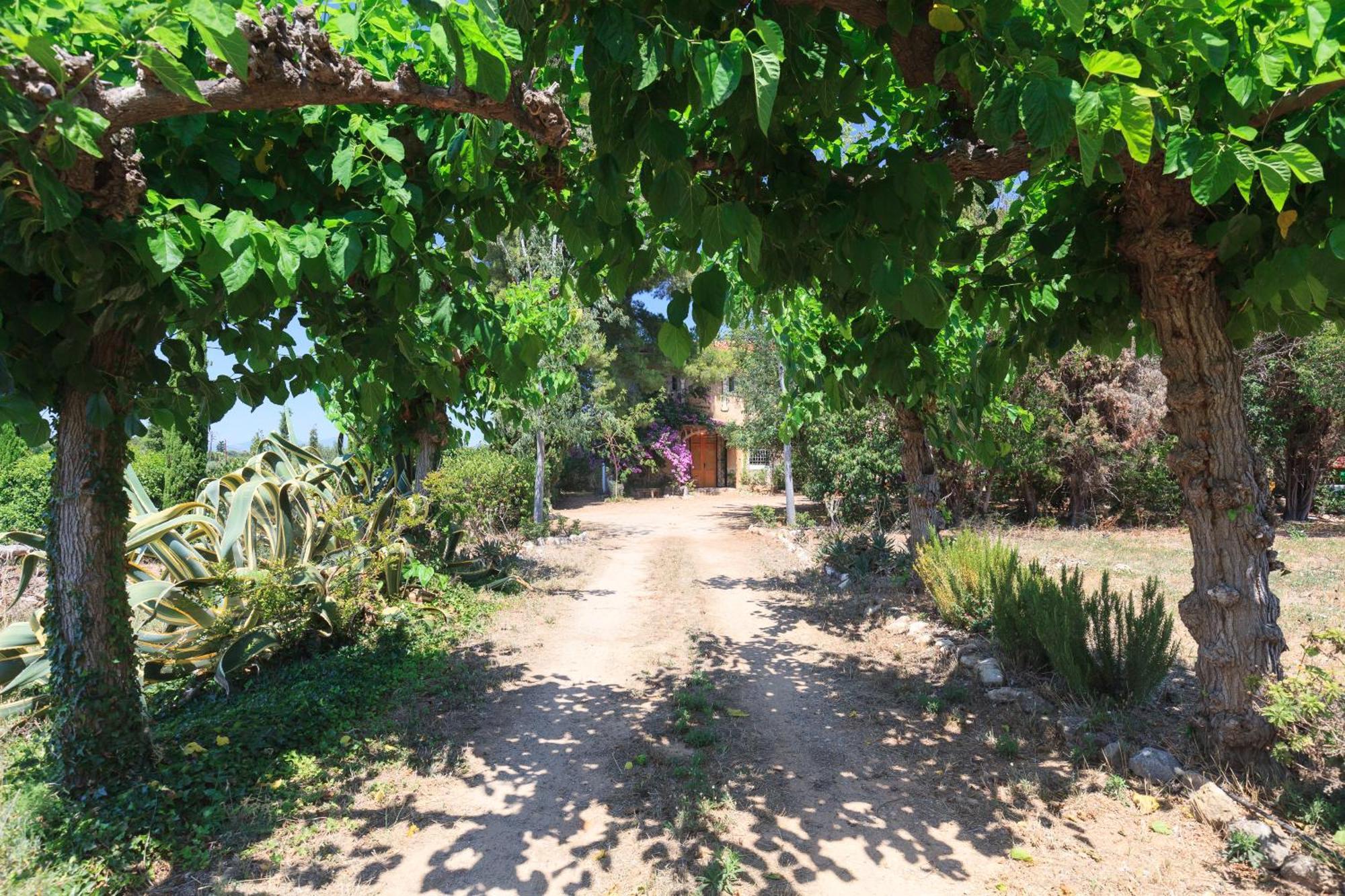 Mas Estivill-Modernist Country House Near Salou-Port Aventura ビラセカ・デ・ソルシナ エクステリア 写真